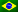 portugues